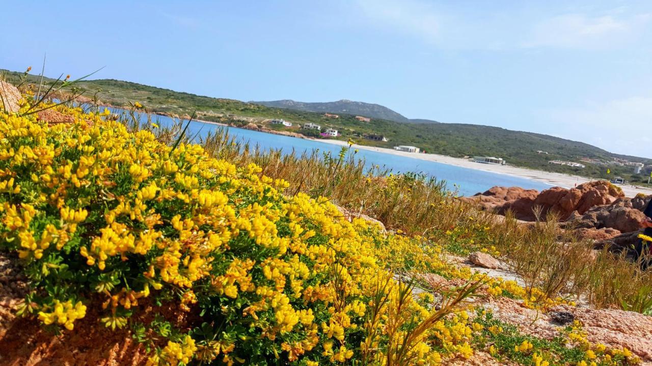 Casa Vacanza Costa Rossa Vista Mare Trinità dʼAgultu Εξωτερικό φωτογραφία