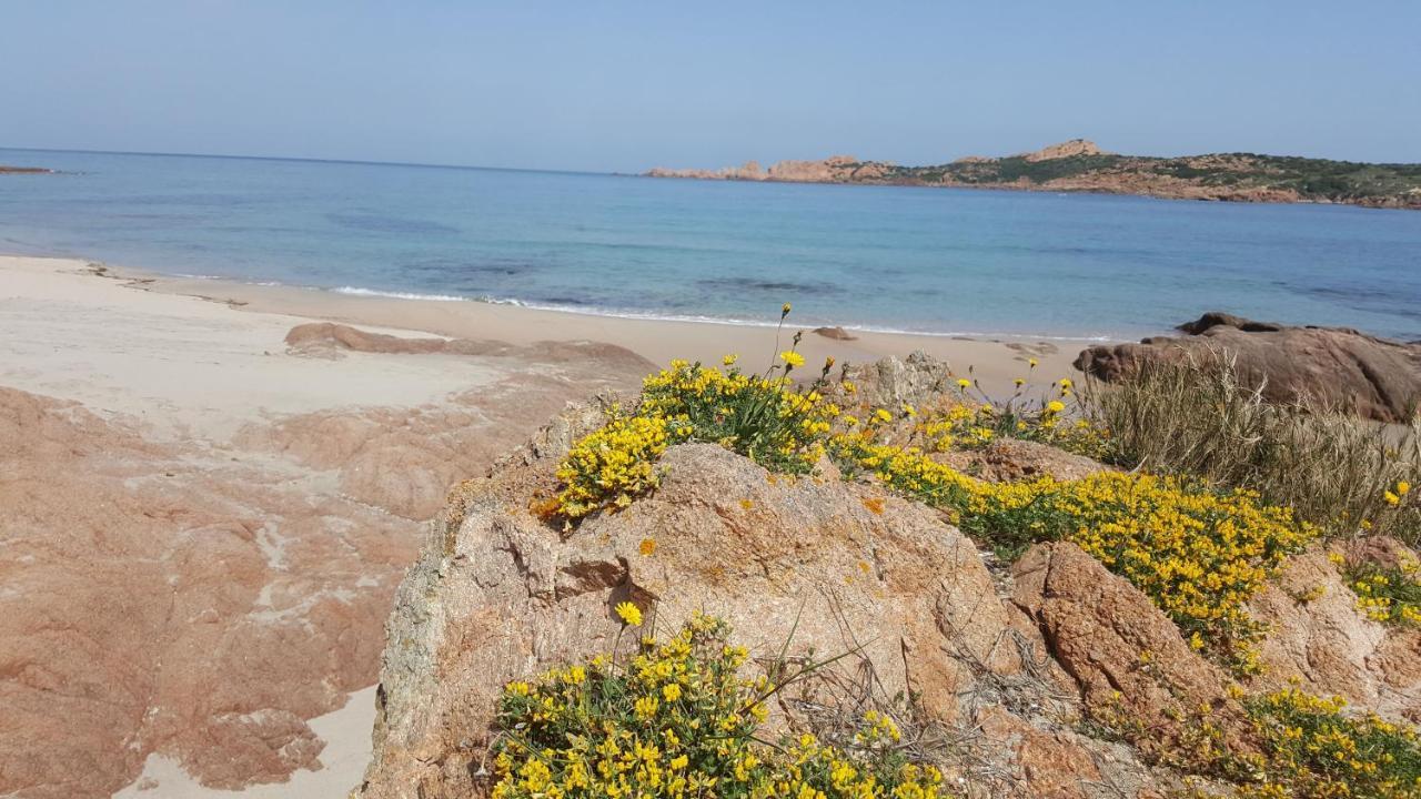 Casa Vacanza Costa Rossa Vista Mare Trinità dʼAgultu Εξωτερικό φωτογραφία